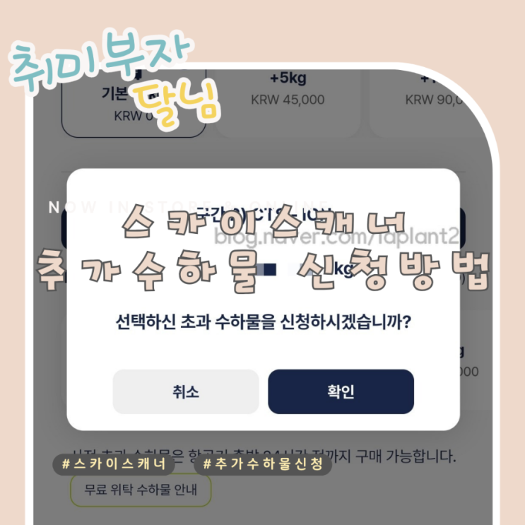  스카이스캐너 추석명절 삿포로 항공 예매 수하물 추가 방법