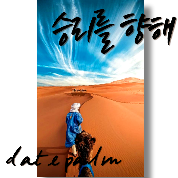  9월 탄생목 종려나무 대추야자 이야기