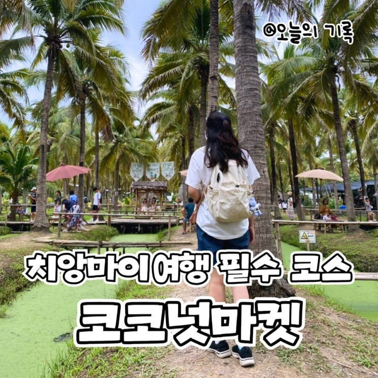  [태국 치앙마이] 치앙마이 여행 필수 코스, 맛있는 먹거리와 구경거리가 있는 코코넛 마켓