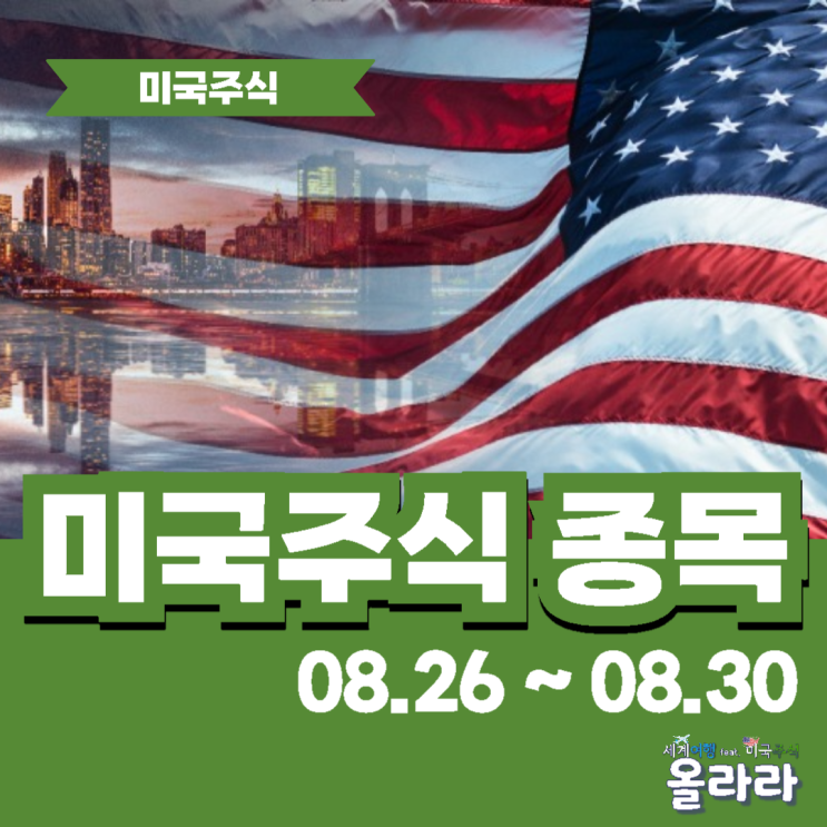  미국주식 시총순위 추천 NVDA NVDL