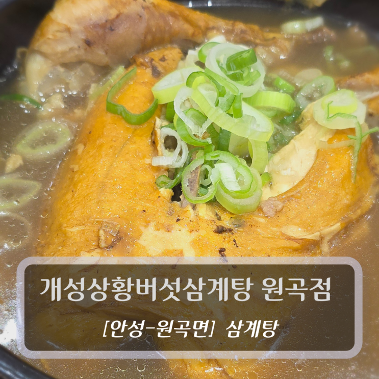  개성상황버섯삼계탕 원곡점 - 안성원곡맛집