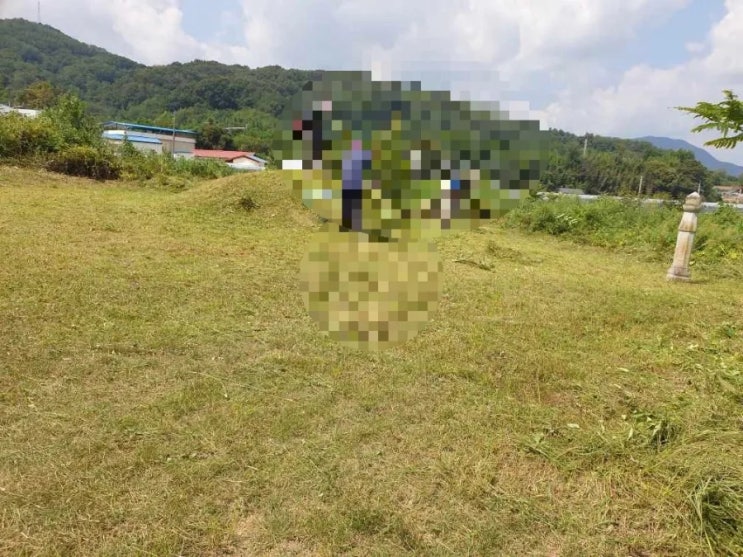  2024년 김천 대항면 덕전리1기벌초 고인돌장의사 #손없는날 #윤달 #벌초 #이하늘장사 #장의사 #이장 #화장 #김천벌초 #선산벌초 #구미벌초 #황간벌초 #영동벌초 #성주벌초