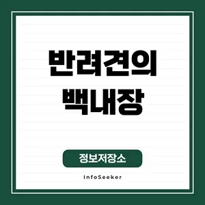  반려견의 백내장(원인, 증상, 치료 방법과 예방 방법)