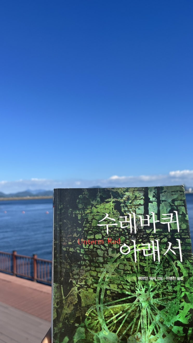  후회, 삶을 옥죄는 강압과 스트레스 <수레바퀴 아래서>