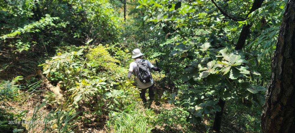 두만산 사진 4