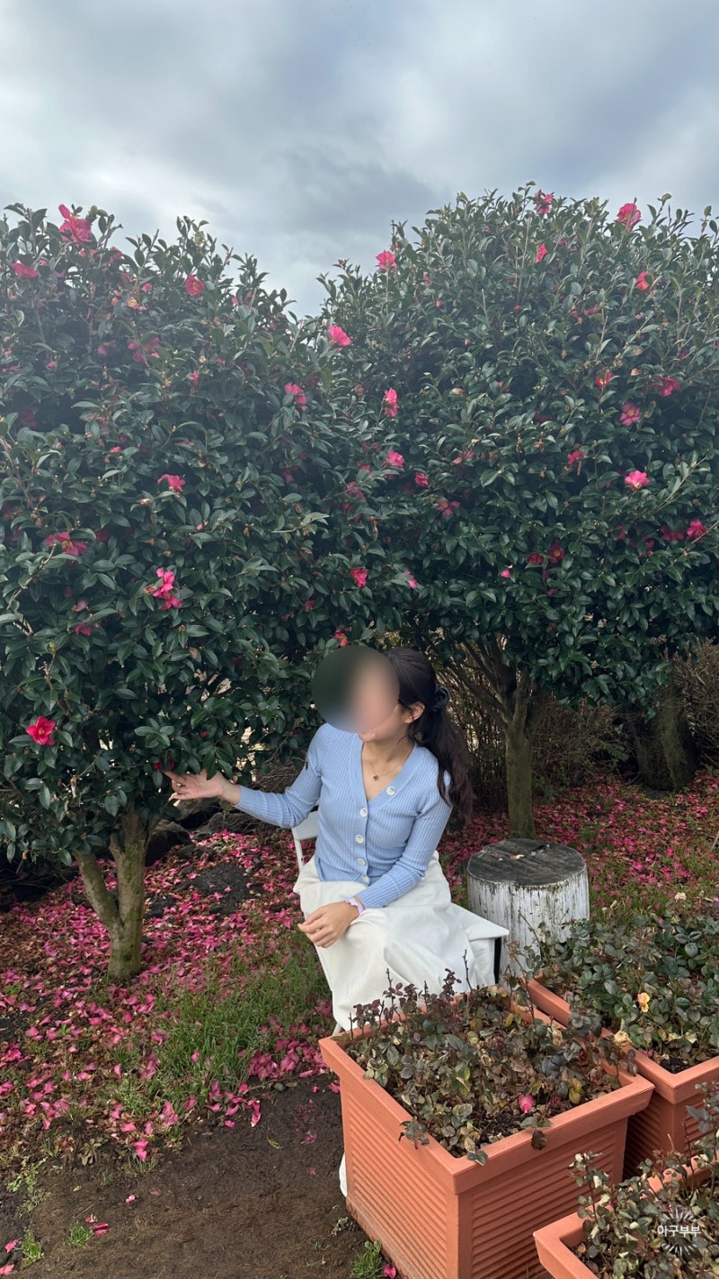 산드로 가브리엘 제니 가디건 사이즈 추천, 착용샷 보여드려요