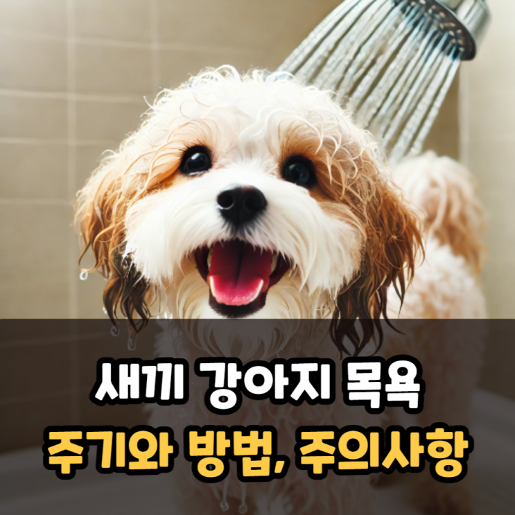  새끼 강아지 목욕 주기와 방법, 주의사항