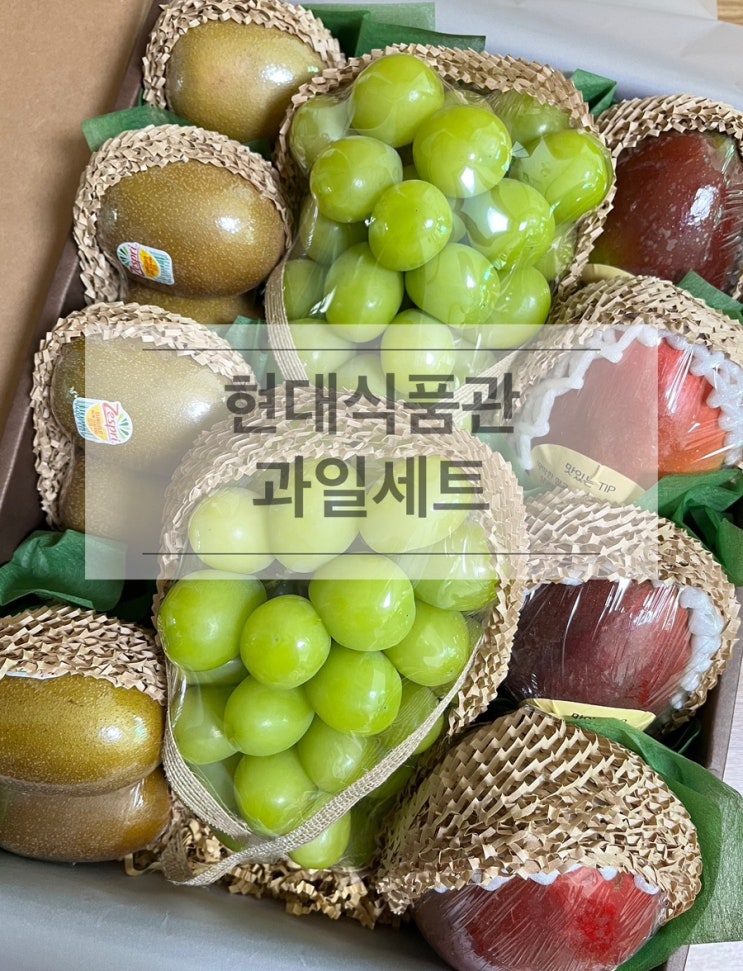  예비신부댁 방문 선물, 호감도 급상승! 현대식품관 고급 과일 세트 직접 수령 후기