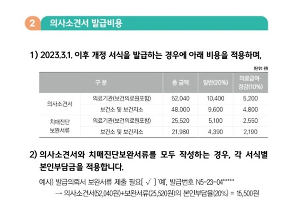 노인 장기 요양보호 소견서 발급 — 본문 그림