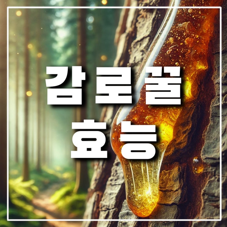  천연 감로꿀 효능, 그리스 아티키 지역 전나무 감로꿀이란 뭘까?