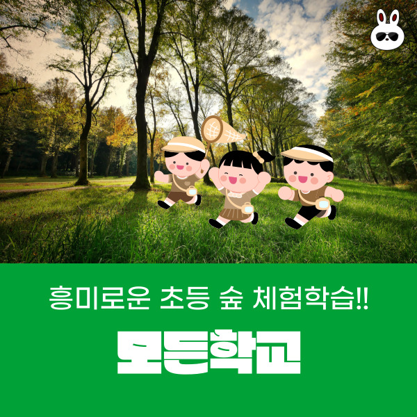  나비가 가득한 나비정원 재미있는 초등체험학습 숲체험 모든학교