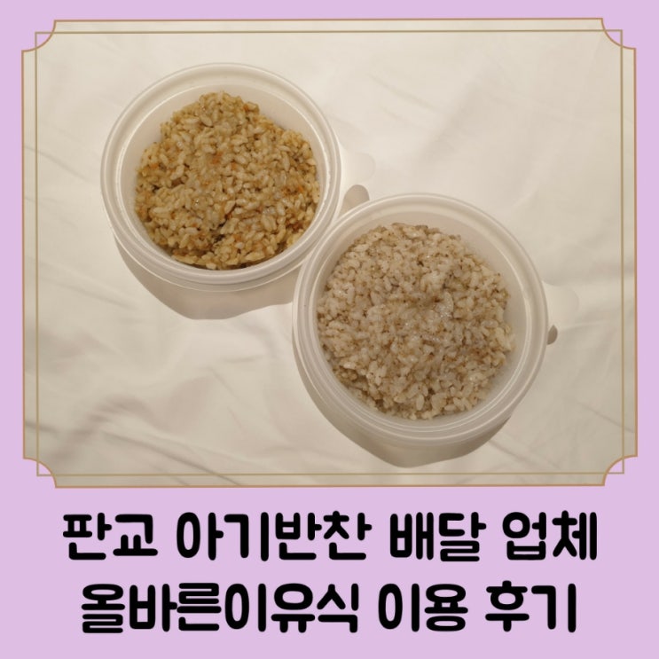  성남 분당구 수제 이유식 및 아기 반찬 배달 가게 추천 / 올바른이유식 판교점 내돈내산 이용 후기