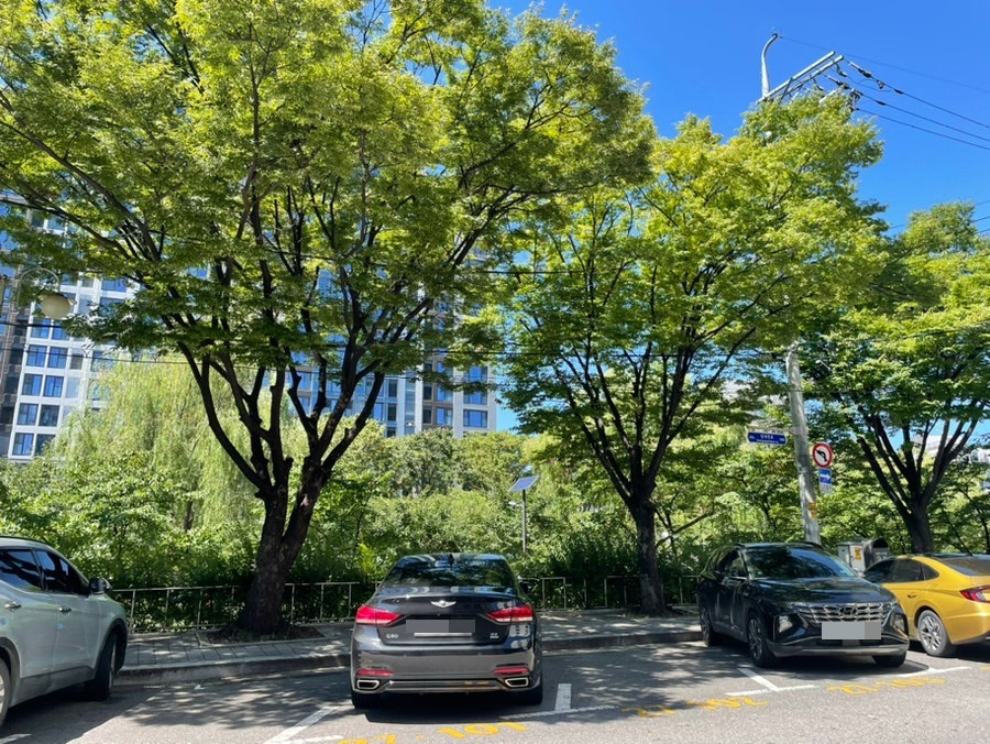 우맥원 사진 1