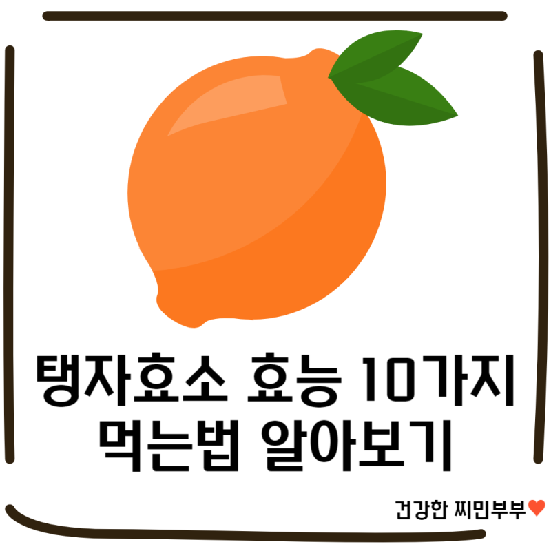 탱자효소 먹는법 효능 효과 10가지 알아보기