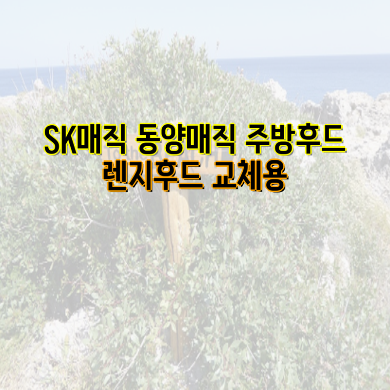 SK매직 동양매직 주방후드 RHD-463SAA 교체 가이드 및 3중망 필터 정보 | 주방 후드, 렌지후드, 필....