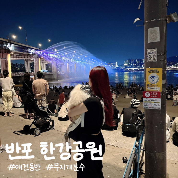  반포 한강공원 ㅣ애견동반 한강야경 무지개분수 배달존