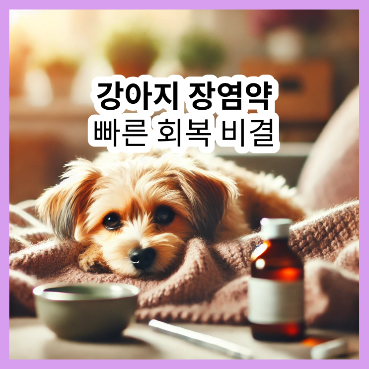  강아지 장염약, 빠른 회복 비결