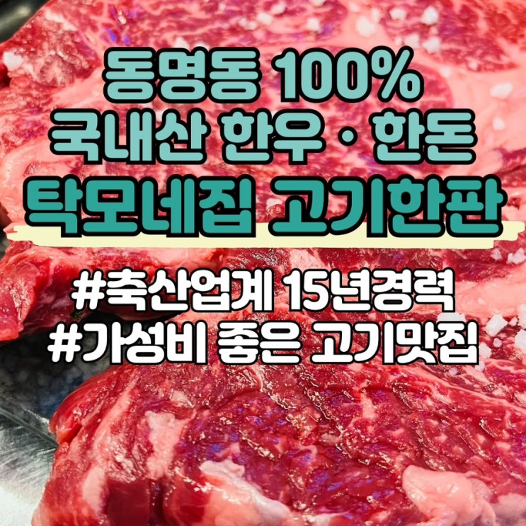  [광주 문화전당역 맛집]탁모네집 고기한판: 국내산 한우, 한돈 가성비맛집 | 동명동 스크린 | 동명동 회식 | 동명동 점심메뉴 | 주차편한곳