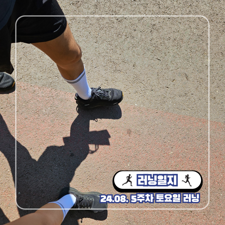  하프마라톤 준비 삼성 헬스 무산소 유산소 역치 심박수 업데이트