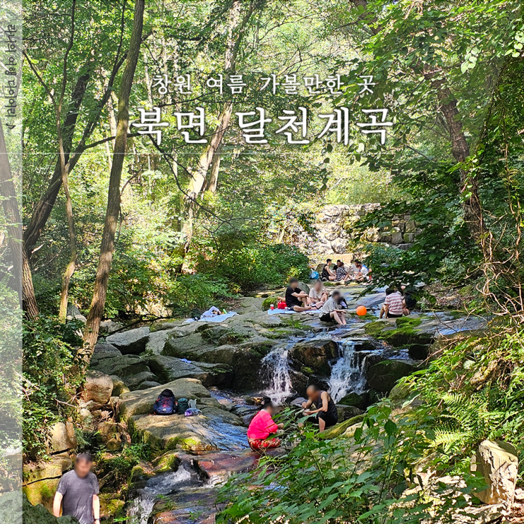  창원 달천계곡 오토캠핑장 유아숲체험원 아이랑 가볼만한 곳