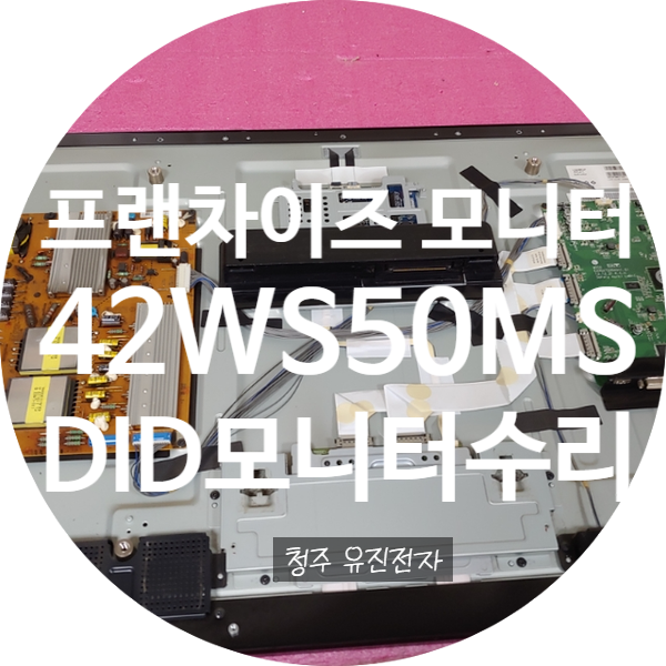  42WS50MS