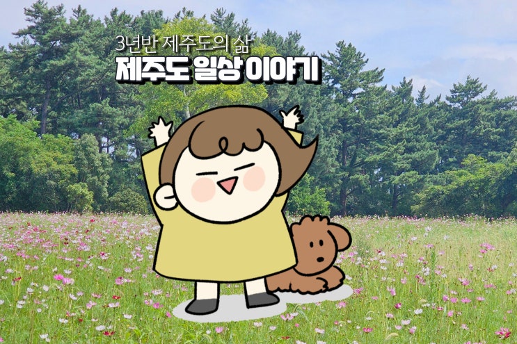  제주살이 3년반 하루하루 삶이 여행인 일상