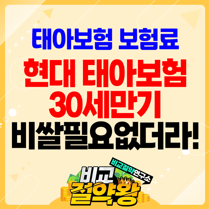  현대해상 태아보험 30세만기 비쌀 필요 없더라