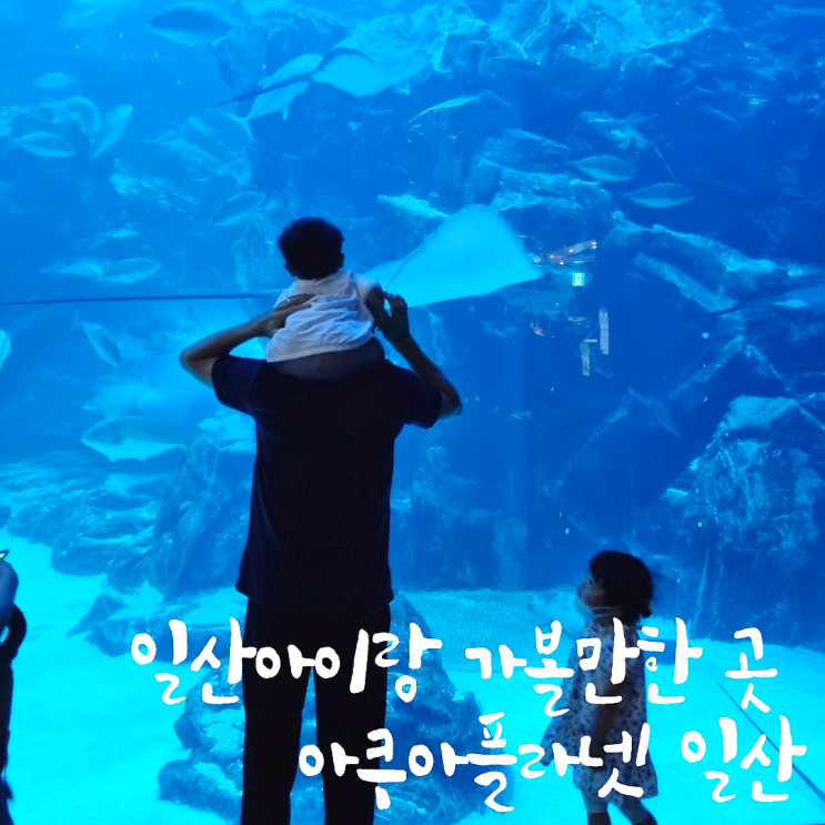  일산아쿠아플라넷 탐험기, 일산 아이와 가볼만한곳