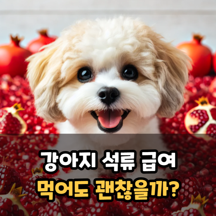  강아지 석류 급여 먹어도 괜찮을까?
