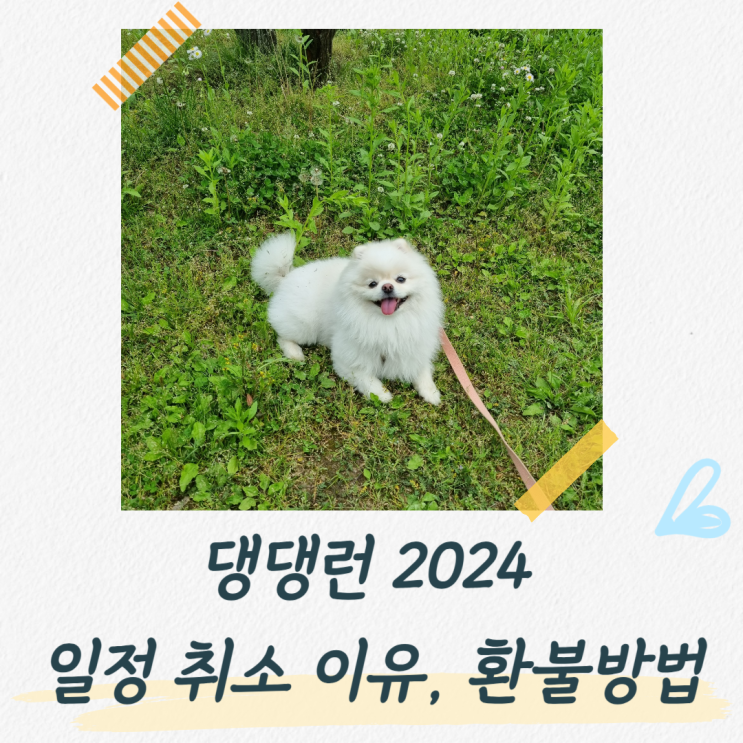  2024 댕댕런 행사 취소 이유, 환불 규정