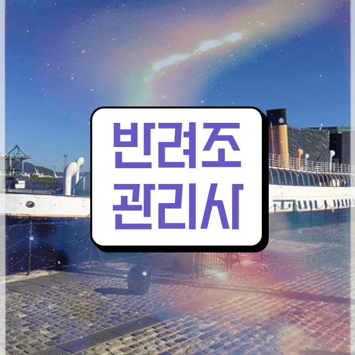  카이큐 앵무새 , 반려조관리사 자격증 비용없이 온라인으로 합격한 팁 보고가세요