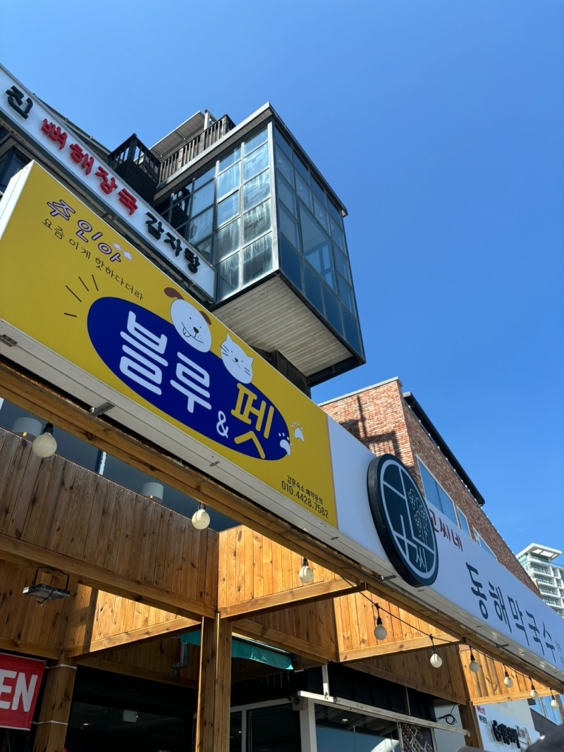 고씨네 동해막국수 강문본점