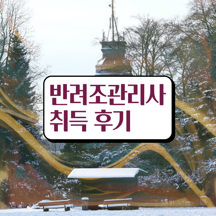  사랑앵무 수명 , 반려조관리사 자격증 쉽고 간편하게 합격한 후기 및 무료수강 혜택