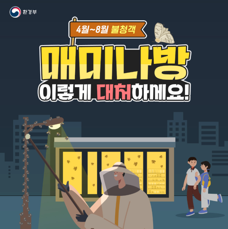  불청객해충 - 매미나방 이렇게 대처하세요!