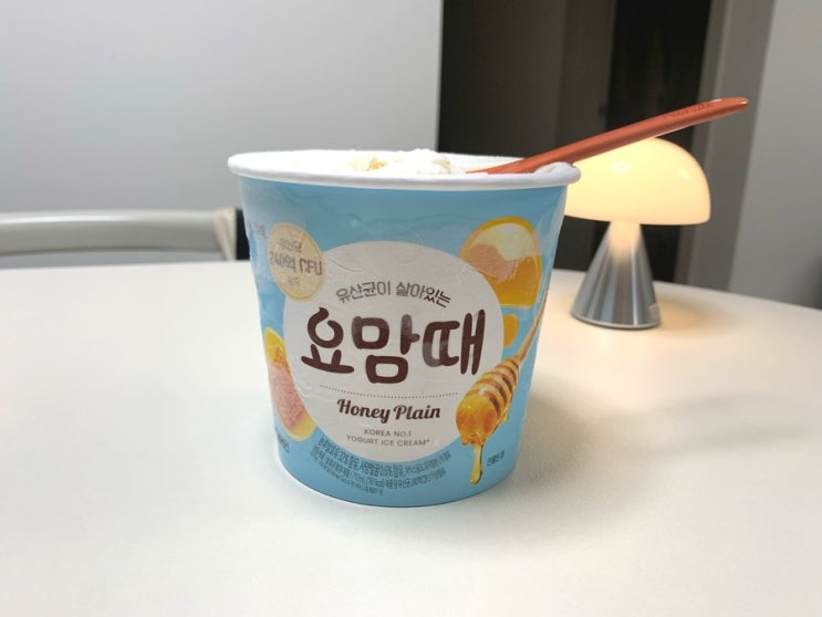  요맘때 허니플레인으로 집에서 요아정 만들기 꿀팁