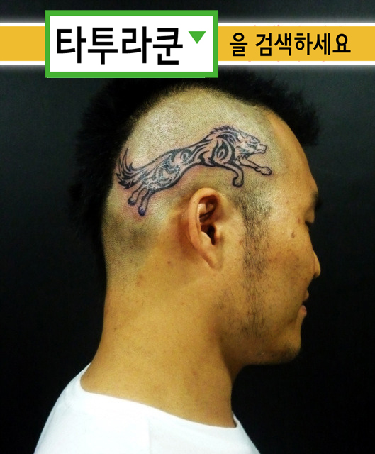  두피트라이벌(SMP아님)/늑대문신/머리타투 [타투라쿤]/연예인타투 스타일