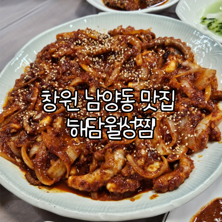  창원 성산구 남양동 맛집 '해담월성찜'