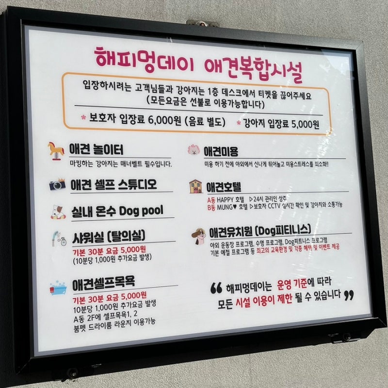 해피멍데이 애견카페