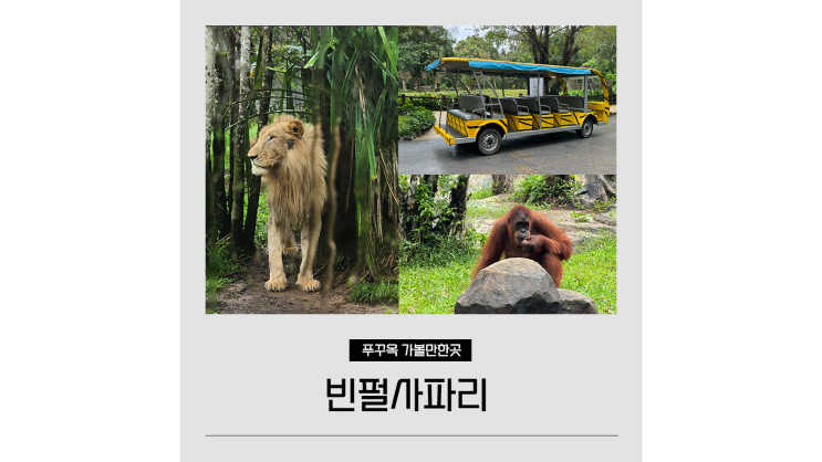 푸꾸옥 빈펄사파리 입장권 가격 트램 기린식당 베트남 가족여행 가볼만한곳 푸꾸옥 빈펄사파리 입장권 가격 트램 기린식당 베트남 가족여행 가볼만한곳