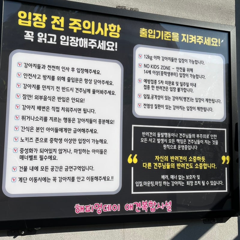 사진 2