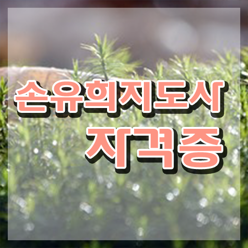  손유희101가지 , 손유희지도사 자격증 단기간에 취득한 방법 준비했어요