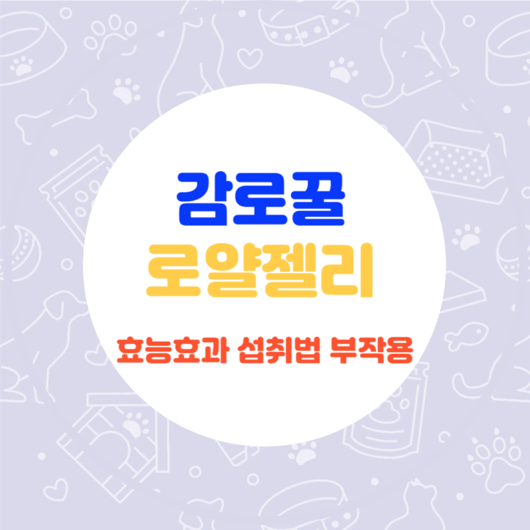  감로꿀의 효능과 보관법 섭취법 부작용에 대해 알아보자(추석선물)
