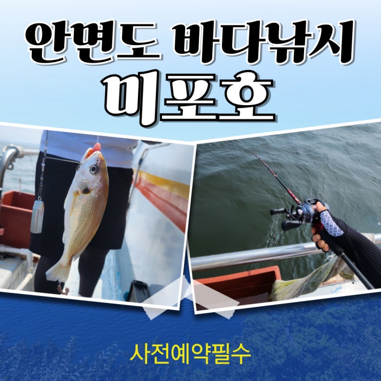  안면도 갑오징어낚시 미포호 친절하고 어복많은 배!