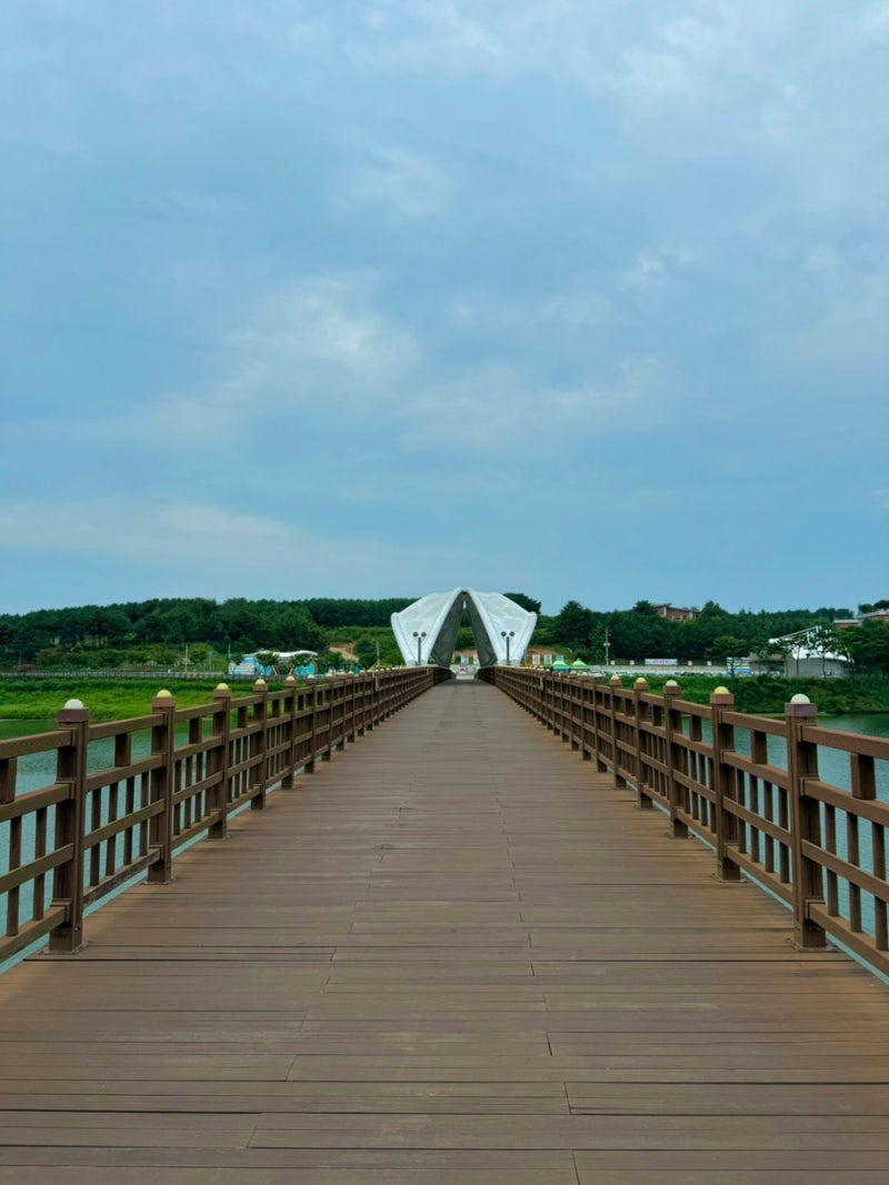사진 5