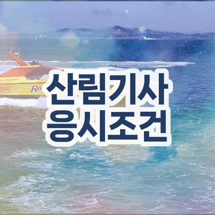 산림기사 2024 필기 후기 산림기사 시험응시조건 온라인 수업으로 1학기 만에 끝낸 후기
