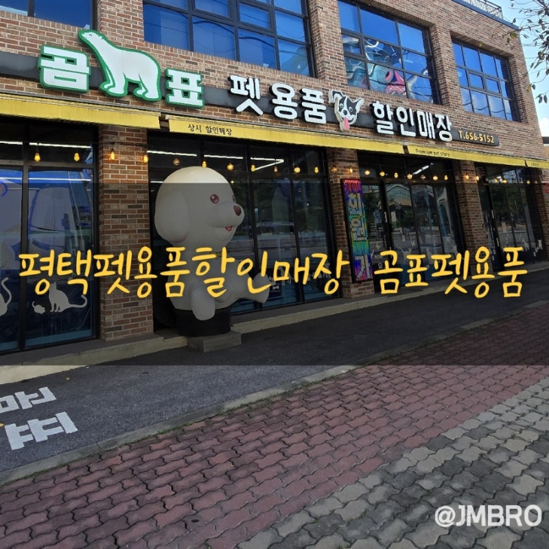 사진 2