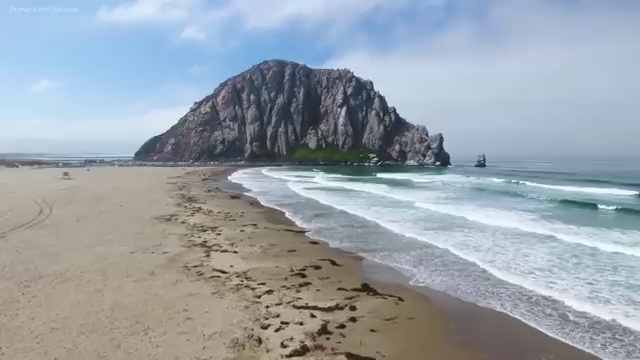  40대여자자격증 , 비전공자도 병원동행메니저 발급받아 보세요