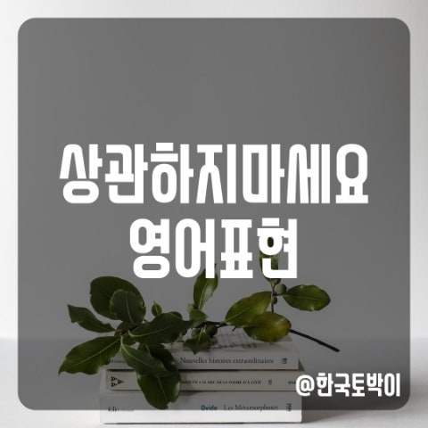  상관하지마세요 영어로 (none of your business)
