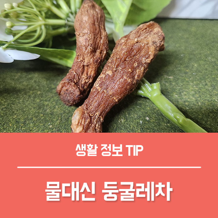  물대신 둥굴레차 효능 부작용, 둥글레차 효능 먹는법은?