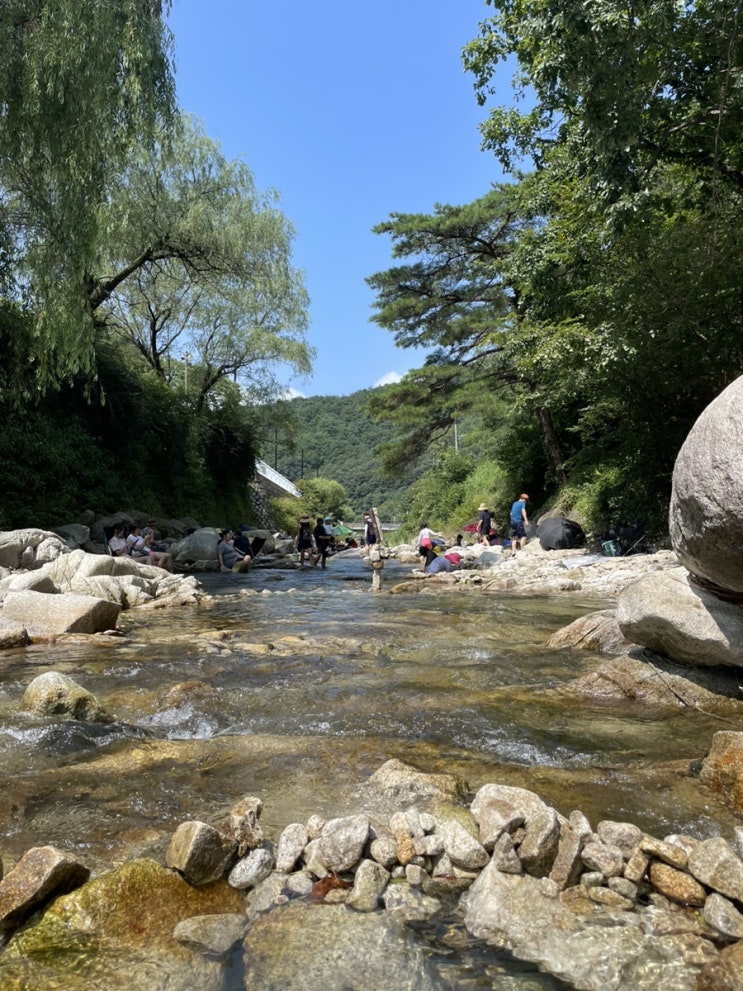  너무 더웠던 8월 일상, 더워도 여전히 잘 먹고다님!